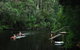 WA Wilderness Glamping - thumb 4
