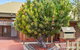 Reef & Vines Port Noarlunga - thumb 7
