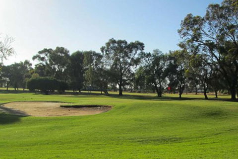 Barmera Country Club Motor Inn - Accommodation ACT 3