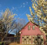 Magenta Cottage - Accommodation ACT