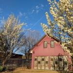 Magenta Cottage - Accommodation ACT 0