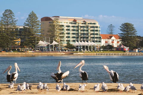 Oaks The Entrance Waterfront Suites - Accommodation ACT 1