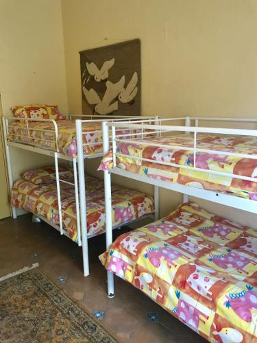 Birdhaven - Accommodation ACT 5