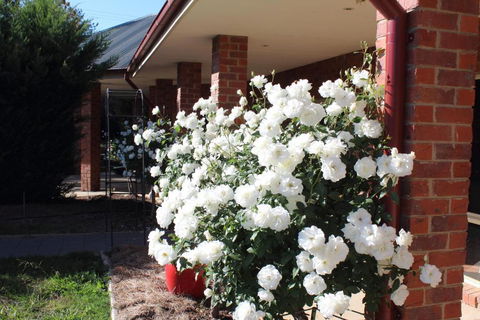 Gundaroo Manor Bed & Breakfast - Accommodation ACT 1