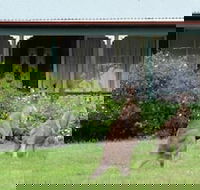 Cedar Lodge Cabins - Accommodation ACT