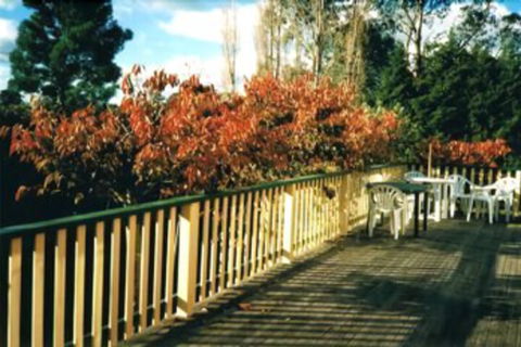 Heronswood House B & B - Accommodation ACT 7