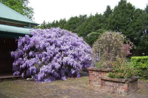 Heronswood House B & B - Accommodation ACT 2