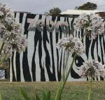 Zebras Guest House - Accommodation ACT