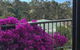 Eden Bed & Breakfast - thumb 3