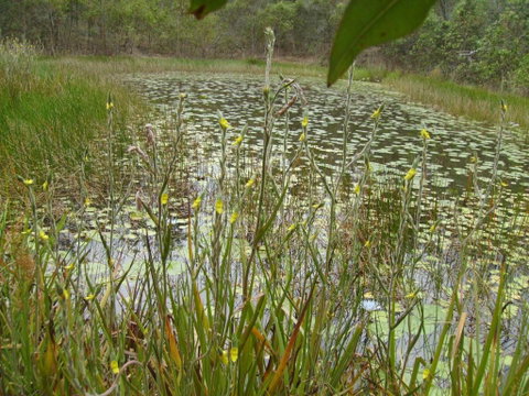 Back To The Bush - Accommodation ACT 3