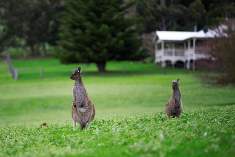 Barn Hives Yallingup - Accommodation ACT 4