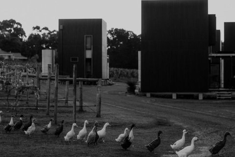 Barn Hives Yallingup - Accommodation ACT 1