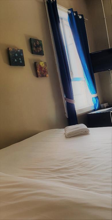 Shamrock Hotel Greenbushes - Accommodation ACT 2