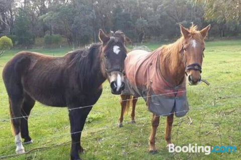 Heritage Bed & Breakfast - Accommodation ACT 3