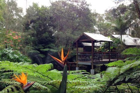 The Oasis At One Mile Beach - Accommodation ACT 2