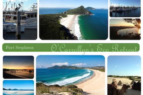 The Oasis At One Mile Beach - Accommodation ACT 5