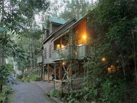 Barrington Wilderness Cedar Lodge Accommodation - Accommodation ACT 2