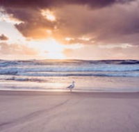 Blue Waters Motel - Accommodation ACT