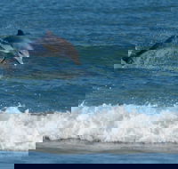 Summerhills Retreat Byron Bay - Accommodation ACT