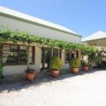 Daisy Cottage - Accommodation ACT 1