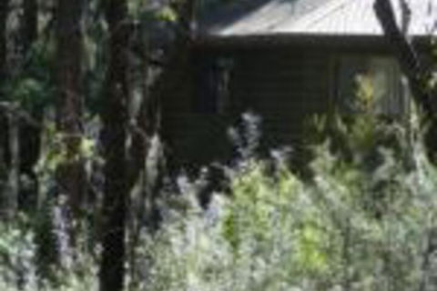 Twin Falls Bush Cottages - Accommodation ACT 0