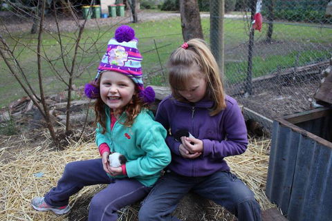 Fernleigh Farmstay & Bike Park - Accommodation ACT 3
