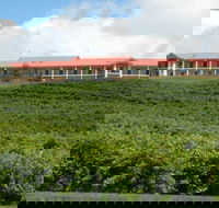 Turners Vineyard Motel and Function Centre - Accommodation ACT