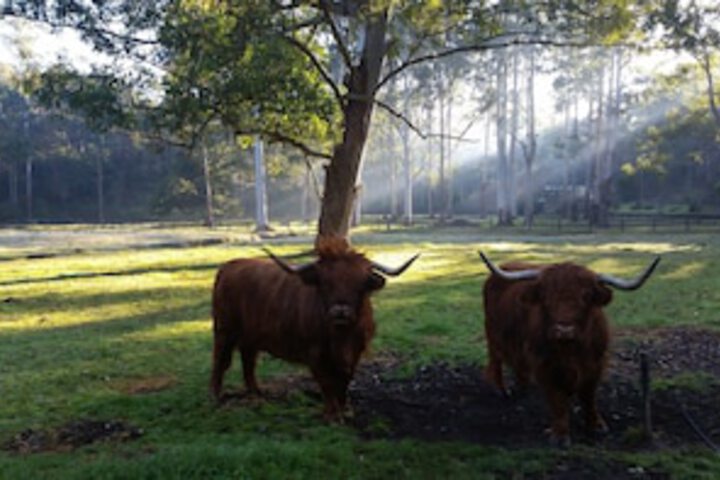 Glenhaven NSW Accommodation ACT