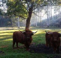 Dingley Dell - Accommodation ACT