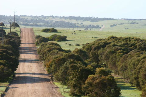 Almonta Park Lodge - Accommodation ACT 4