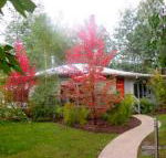 Dalrymples Guest Cottages - Accommodation ACT