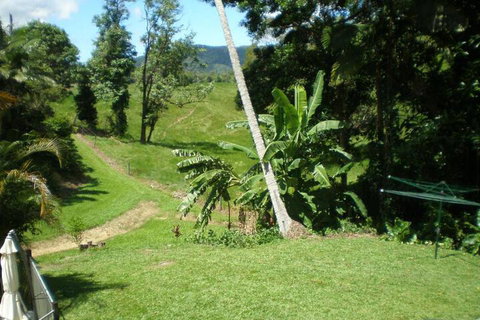 Daintree Village Hideaway - Accommodation ACT 5