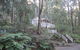 Myers Creek Cascades Luxury Cottages - thumb 3