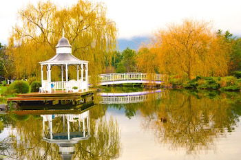 Lakeside Cottage - Accommodation ACT 5