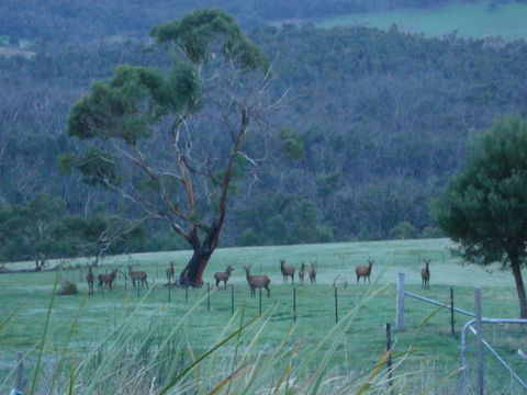 Hawksview At Mafeking - Accommodation ACT 3