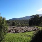 Mafeking ACT Accommodation ACT