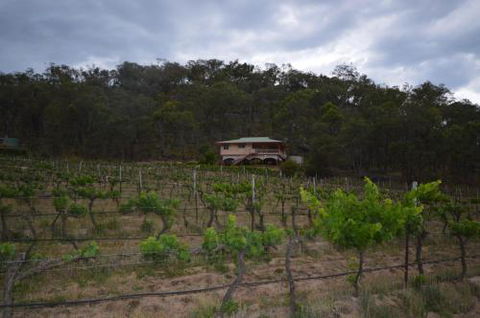 Sancerre Estate - Accommodation ACT 6