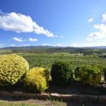 Sancerre Estate - Accommodation ACT 0
