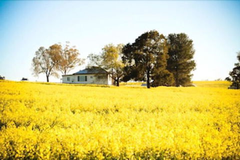 Colenso Country Retreat - Accommodation ACT 4