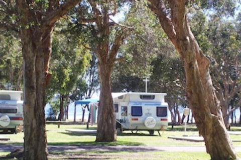 Budgewoi Holiday Park - Accommodation ACT 2
