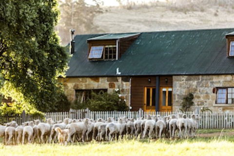Daisy Bank Cottages - Accommodation ACT 0