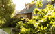 Daisy Bank Cottages - thumb 6