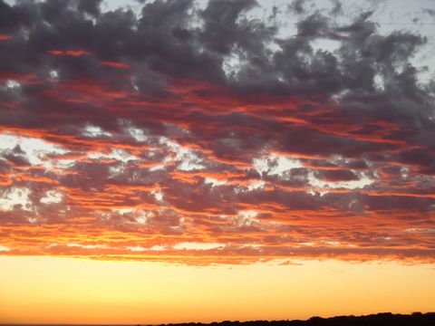 On The Deck @ Shark Bay - Accommodation ACT 6