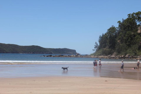 Ocean Beach Cottage - Accommodation ACT 5