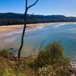 Ocean Beach Cottage - Accommodation ACT 0