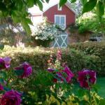 A Country Barn Retreat - Accommodation ACT 0