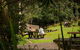 Binna Burra Sky Lodges - thumb 4