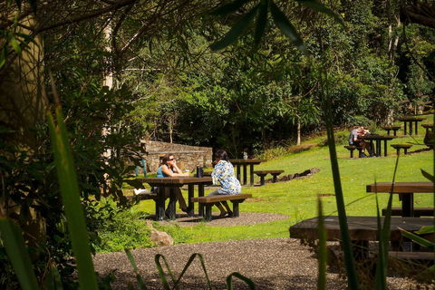 Binna Burra Sky Lodges - Accommodation ACT 4