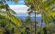 Binna Burra Sky Lodges - thumb 6