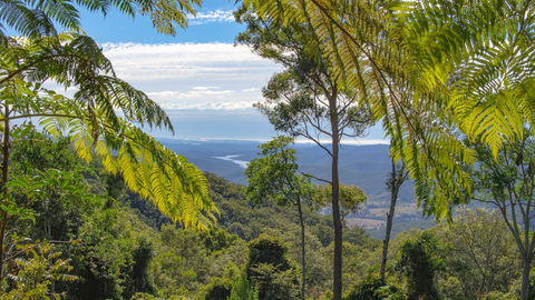 Binna Burra Sky Lodges - Accommodation ACT 6